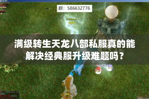 满级转生天龙八部私服真的能解决经典服升级难题吗? 满级转生天龙八部私服真的能解决经典服升级难题吗?
