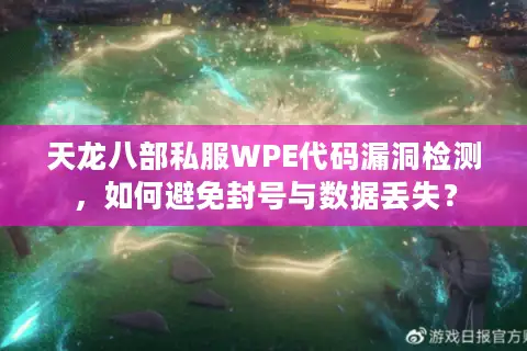 天龙八部私服WPE代码漏洞检测，如何避免封号与数据丢失？