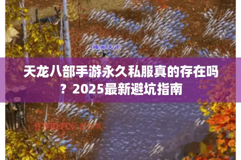天龙八部手游永久私服真的存在吗？2025最新避坑指南