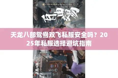 天龙八部鸳鸯双飞私服安全吗？2025年私服选择避坑指南