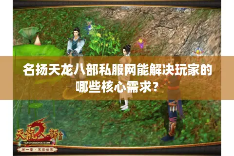 名扬天龙八部私服网能解决玩家的哪些核心需求？