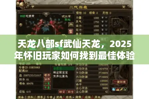 天龙八部sf武仙天龙，2025年怀旧玩家如何找到最佳体验服？