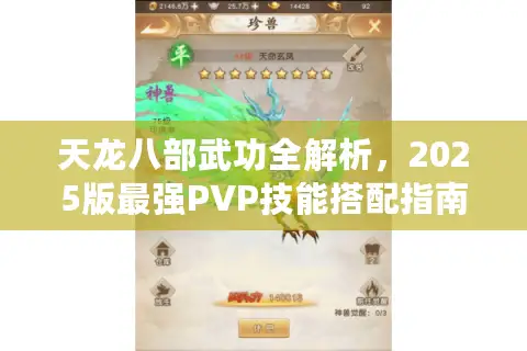 天龙八部武功全解析,2025版最强PVP技能搭配指南 天龙八部武功全解析,2025版最强PVP技能搭配指南
