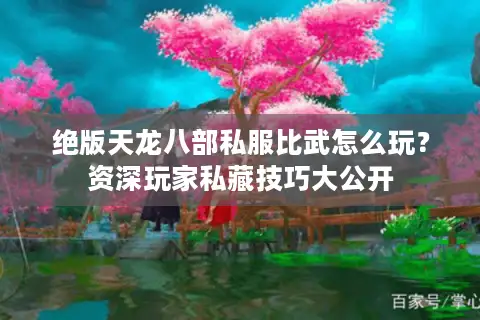 绝版天龙八部私服比武怎么玩？资深玩家私藏技巧大公开