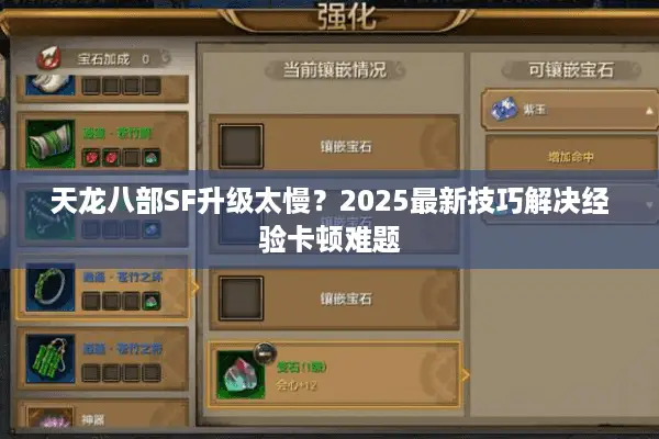 天龙八部SF升级太慢？2025最新技巧解决经验卡顿难题