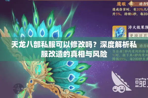 天龙八部私服可以修改吗？深度解析私服改造的真相与风险