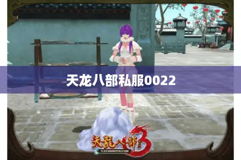 天龙八部私服0022 天龙八部私服0022