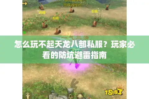 怎么玩不起天龙八部私服？玩家必看的防坑避雷指南