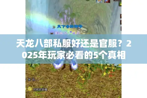 天龙八部私服好还是官服?2025年玩家必看的5个真相 天龙八部私服好还是官服?2025年玩家必看的5个真相