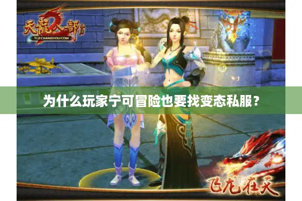 为什么玩家宁可冒险也要找变态私服? 为什么玩家宁可冒险也要找变态私服?