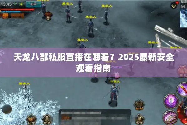 天龙八部私服直播在哪看？2025最新安全观看指南