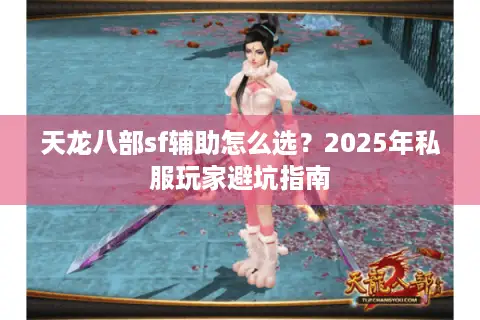 天龙八部sf辅助怎么选？2025年私服玩家避坑指南