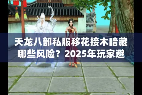 天龙八部私服移花接木暗藏哪些风险？2025年玩家避坑指南