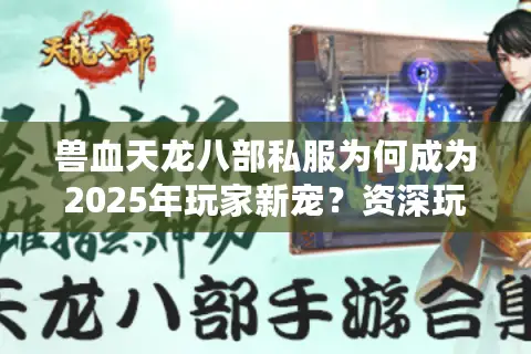 兽血天龙八部私服为何成为2025年玩家新宠？资深玩家实测推荐