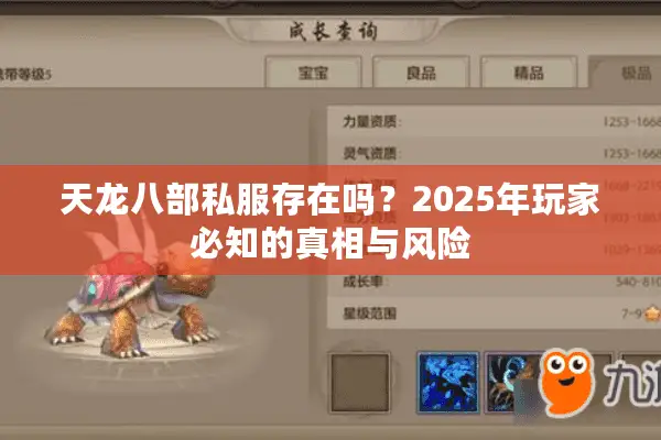 天龙八部私服存在吗？2025年玩家必知的真相与风险