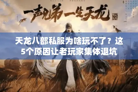 天龙八部私服为啥玩不了？这5个原因让老玩家集体退坑