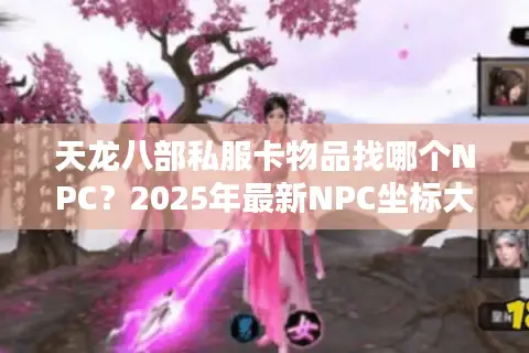 天龙八部私服卡物品找哪个NPC？2025年最新NPC坐标大全