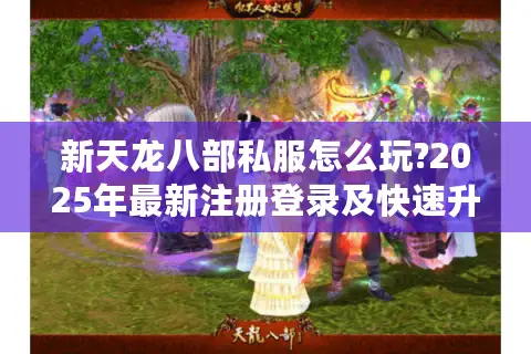 新天龙八部私服怎么玩?2025年最新注册登录及快速升级指南
