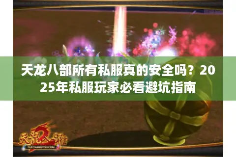 天龙八部所有私服真的安全吗？2025年私服玩家必看避坑指南