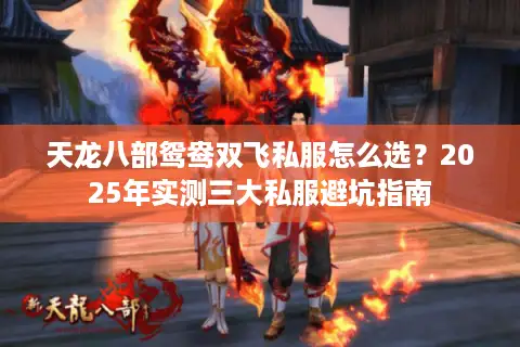 天龙八部鸳鸯双飞私服怎么选?2025年实测三大私服避坑指南 天龙八部鸳鸯双飞私服怎么选?2025年实测三大私服避坑指南