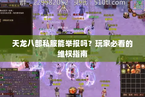 天龙八部私服能举报吗？玩家必看的维权指南