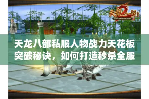 天龙八部私服人物战力天花板突破秘诀,如何打造秒杀全服的逆天角色? 天龙八部私服人物战力天花板突破秘诀,如何打造秒杀全服的逆天角色?