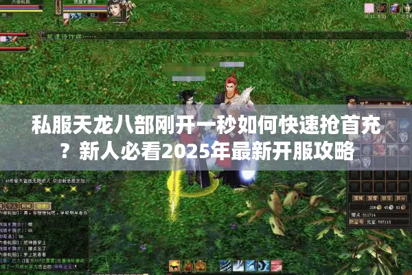私服天龙八部刚开一秒如何快速抢首充?新人必看2025年最新开服攻略 私服天龙八部刚开一秒如何快速抢首充?新人必看2025年最新开服攻略
