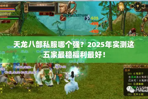 天龙八部私服哪个强？2025年实测这五家最稳福利最好！