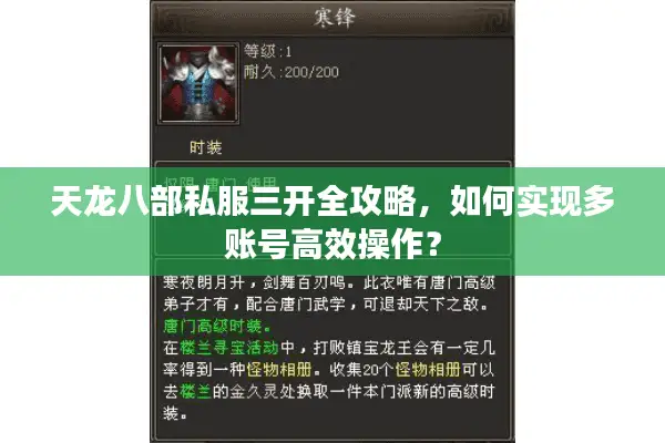 天龙八部私服三开全攻略，如何实现多账号高效操作？