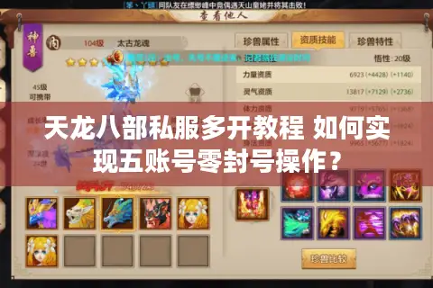 天龙八部私服多开教程 如何实现五账号零封号操作？