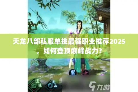 天龙八部私服单挑最强职业推荐2025，如何登顶巅峰战力？