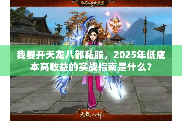 我要开天龙八部私服，2025年低成本高收益的实战指南是什么？