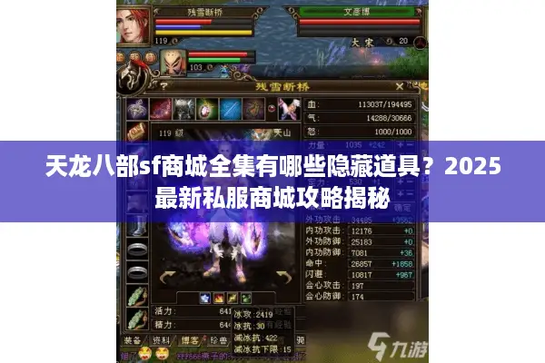 天龙八部sf商城全集有哪些隐藏道具？2025最新私服商城攻略揭秘