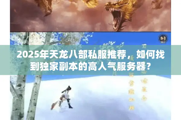 2025年天龙八部私服推荐，如何找到独家副本的高人气服务器？